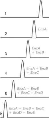 <strong>The glycan fragment shown on the right has been cleaved by glycosylase enzymes, and HPLC analysis has produced the peaks 1 to 6. Which of the following fragments corresponds to peak 5?</strong> A) B) C) D)