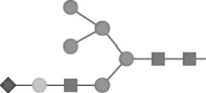 <strong>The glycan fragment shown on the right has been cleaved by glycosylase enzymes, and HPLC analysis has produced the peaks 1 to 6. Which of the following fragments corresponds to peak 5?</strong> A) B) C) D)