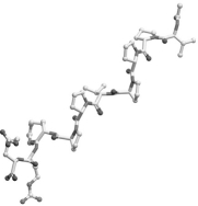 <strong>Below is shown a short sequence of a protein. Which of the following domains would most likely bind this sequence? </strong> A) SH2 B) SH3 C) SH2a D) SHP