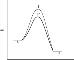 Consider the reaction coordinate diagram shown below for the conversion of substrate (S) to product (P) via two different reaction pathways that involve different transition states (‡ and ‡*). Assume that one pathway involves a catalyst and one does not. Decide which pathway involves the catalyst and explain your logic.
