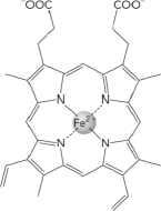 <strong>Which of the following is true of this compound? </strong> A) It contains a ferric ion. B) It is a prosthetic group. C) It is found on the surface of both hemoglobin and myoglobin. D) It is coordinated to hemoglobin through interactions with a proximal cysteine.