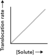 <strong>Consider the transport scenario shown. Which curve represents the overall movement of the small molecule from the extracellular environment to the cytosol? </strong> A) B) C) D)