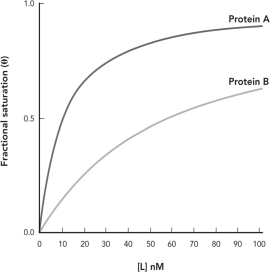 <strong>Which of the following statements is true of the data shown below? </strong> A) The binding of ligand to protein B follows the Bohr effect. B) Both proteins display cooperative binding. C) Protein A has a higher K<sub>d</sub> for the ligand than protein B. D) Protein B and protein A bind to the same ligand.