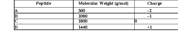 <strong>Which of the following peptides would be eluted last when separated using gel filtration chromatography? </strong> A) A B) B C) C D) D