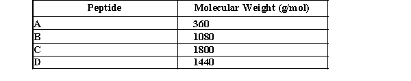<strong>Which peptide would migrate the slowest in an SDS-PAGE gel? </strong> A) A B) B C) C D) D