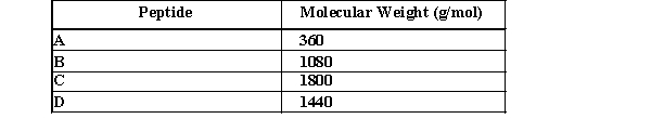 <strong>Which peptide would migrate the fastest in a SDS-PAGE gel? </strong> A) A B) B C) C D) D