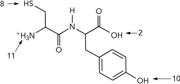 <strong>What is the pI of the dipeptide shown? (Use the pK as given.) </strong> A) 0 B) 5 C) 9 D) 10.5