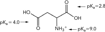 <strong>What is the approximate net charge of the molecule shown below at pH 7? </strong> A) +1 B) 0 C) -1 D) -2