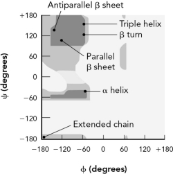 Use the theoretical Ramachandran plot at the top to evaluate the two experimental plots on the bottom. Describe the likely secondary structures found in each experimental plot.