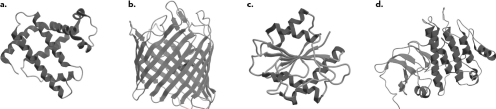 Identify the four images below, which represent the four classes of protein structures commonly identified across MOST structures found in the Protein Data Bank.