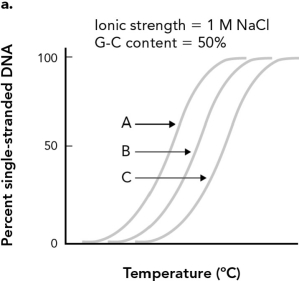 <strong>DNA strands containing 20 base pairs, 40 base pairs, and 60 base pairs were denatured and the results were graphed below. Identify the curve from the 60 base pair DNA strand. </strong> A) A B) B C) C D) Not enough information is included to determine the curve.