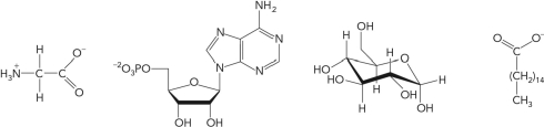 Identify the following biomolecules.