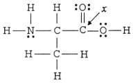 <strong>The hybridization of the carbon atom labeled x in the molecule below is ________. </strong> A)sp B)sp<sup>2</sup> C)sp<sup>3</sup> D)sp<sup>3</sup>d E)sp<sup>3</sup>d<sup>2</sup>
