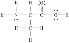 There is/are ________ σ bond(s)in the molecule below.  