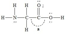 The bond angle marked a in the following molecule is about ________.