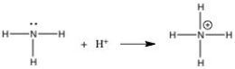 <strong>In the gas phase reaction below,NH<sub>3</sub> is acting as a(n)________. </strong> A)Br∅nsted-Lowry acid B)Br∅nsted-Lowry base C)Lewis base D)Lewis acid E)Arrhenius acid