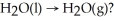 Which process in the Global Water Cycle involves the phase transition