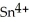 <strong>In the electrochemical cell using the redox reaction below,the oxidation half reaction is ________. (aq)+ Fe (s)→ (aq)+ (aq)</strong> A)Sn<sup>4+</sup> + 2e<sup>-</sup> → Sn<sup>2+</sup> B)Fe → Fe<sup>2+</sup> + 2e<sup>-</sup> C)Sn<sup>4+</sup> → Sn<sup>2+</sup> + 2e<sup>-</sup> D)Fe + 2e<sup>-</sup> → Fe<sup>2+</sup> E)Fe + →