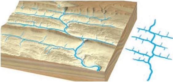 <strong>The trellis drainage pattern shown below develops ______. </strong> A) on isolated volcanic cones or domes B) in areas of relatively uniform surface materials C) on highly jointed bedrock D) in areas of alternating weak and resistant bedrock E) in areas of folded and fractured domes