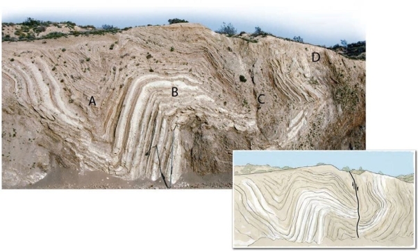 <strong>Use the figure below to answer the following questions. -The concepts of stress and strain are related because_______ .</strong> A) stress causes strain B) strain causes stress C) compressional stress causes a convergent plate boundary to form D) compressional strain causes a convergent plate boundary to form