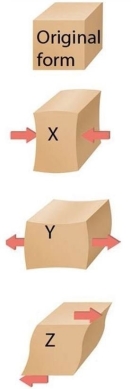Use the figure below to answer the following questions. -In the figure, the stress on block 'Z' is_______ .