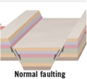 <strong>Consider the below diagram of normal faulting. Which of the following statements is most likely to be true, based on the diagram?</strong> A) There would likely be a lot of strike- slip faults in this area. B) The land is most likely at a convergent plate boundary. C) It is the product of extensional forces. D) The fault is labeled as normal because almost all stresses on Earth produce this type of fault.