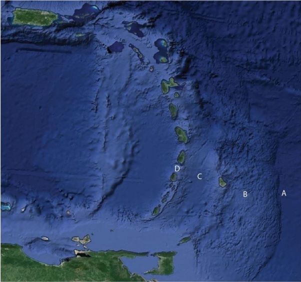 Use this figure for the following questions: The figure above shows a popular area for North American tourists in winter, the Caribbean region. Match the term to the lett the Figure. -Forearc Basin
