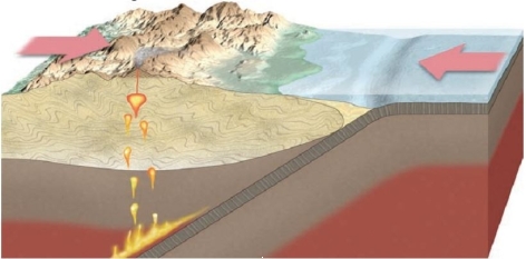 <strong>See the image below of a subduction zone. What is the most likely area where you will see major earthquakes?</strong> A) in the ocean B) where the magma is beginning to rise C) in the mountain belt D) Nowhere. Subduction zones do <u> not </u> have earthquakes