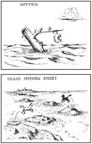 <strong>Observe the cartoons below. How do they relate to continental drift and plate tectonics? </strong> A) It lends credence to continental drift as it indicates movement of continents. B) It is the main basis for the objections to Wegener's theories. C) It could be used to argue against continental motion as the animals find ways to migrate without the continents having moved. D) They show the theory of plate tectonics because they indicate convergence.