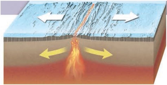 <strong>The figure below shows a_______ boundary. </strong> A) transform B) divergent C) convergent D) hot spot