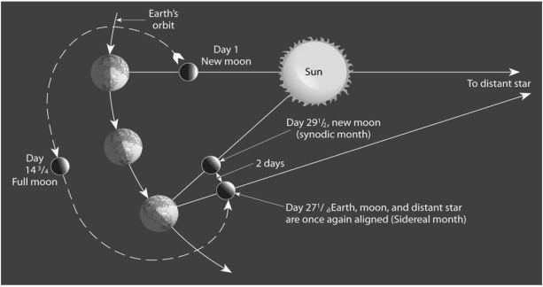 Use Figure 21.26 below to help explain the difference between the sidereal and synodic month. In the second position the Moon has moved to the other side of Earth and it says day 14 <sup>¾ </sup>full Moon. In the thi position the Moon is back on the Sun's side of the Moon. It is labeled day 27 <sup>¼ </sup>Earth, Moon and distant star are once again aligned Siderelal month. and then a second Moon 2 days separated from the first that says day 29 <sup>½</sup>, new Moon synodic month.. The angle to distant star is now upward.