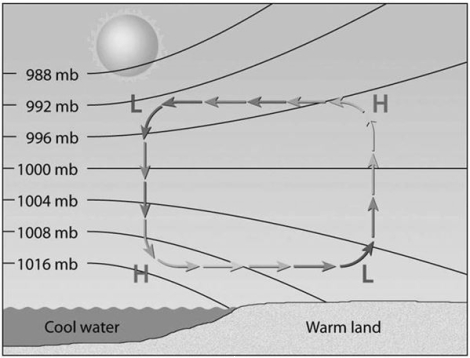 What type of local wind pattern is illustrated in the diagram below?