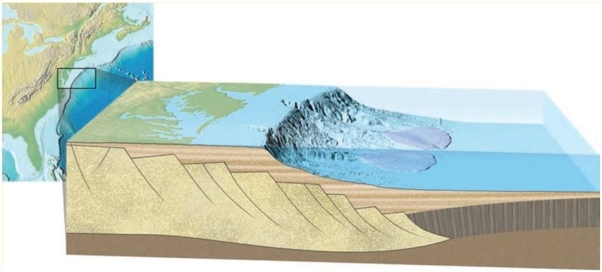 <strong>Consider the diagram below. What type of margin is this?</strong> A) Passive, because the deep sea fans indicate tectonic activity. B) Passive, because the lack of trenches and subducting oceanic crust indicate tectonic activity. C) Active, because the deep sea fans indicate tectonic activity. D) Active, because the lack of trenches and subducting oceanic crust indicate tectonic activity.