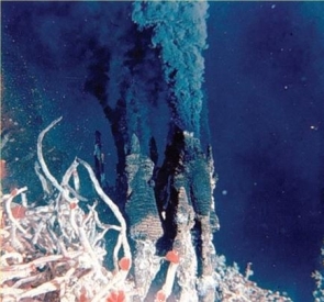 <strong>Identify what is pictured here: </strong> A) rift valleys B) hydrogenous flow structures C) black smokers D) guyots