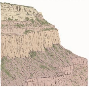 <strong>Consider the below diagram of sedimentary layers. We know that the top layer is youngest. Which of the below is <u> not </u> one of the reasons we know this?</strong> A) the principle of inclusions B) the principle of superposition C) the principle of original horizontality D) the principle of lateral continuity