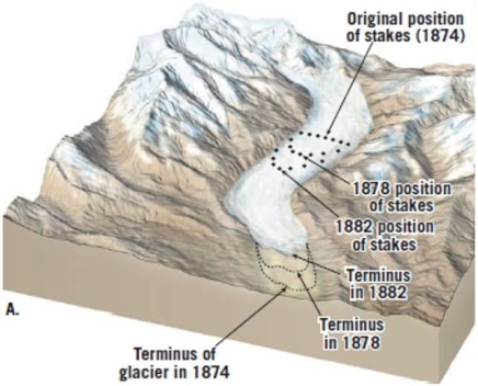 <strong> The above figure shows a classic case where Swiss geologists placed stakes into a glacier and measu outcomes a few years later. What did they conclude from the experiment?</strong> A) The glacier's ice moved downslope the whole time. B) The glacier grew larger between 1878 and 1886. C) The glacier's terminus remained stationary throughout most of the time span. D) The glacier flowed upward sometimes, and downward other times.