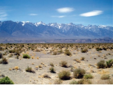 <strong>Which of the following statements is true of desert landscapes, like the one pictured? </strong> A) The fact that it does <u> not </u> receive much rainfall likely means that there is very little water- produced erosion here. B) The vegetation in the photograph likely has adaptations to help it survive long periods without rainfall. C) Deserts are always sandy, so this photograph is a typical desert. D) There is no life visible.