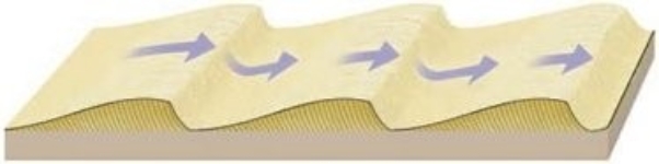 <strong>Note the diagram below, which depicts a dune setting Based on the diagram, which of the following statements is true?</strong> A) The right side of the dune has a gentler slope. B) The wind direction will likely always remain the same. C) Sand is moved up the left side of the dune and slips down the right side. D) The leeward side is the left side of each dune.