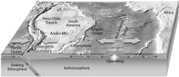 What is the relationship of the dense oceanic crust that is produced at a divergent plate boundary to the convergence or collision of an oceanic plate and a continental plate, such as the western margin of South America in the diagram below?