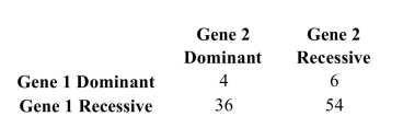 <strong>A geneticist is studying two genes. Each gene can be either dominant or recessive. A sample of 100 individuals is categorized as follows. What is the probability that in a randomly-sampled individual, gene 1 is dominant?</strong> A) 0.10 B) 0.04 C) 0.90 D) 0.40