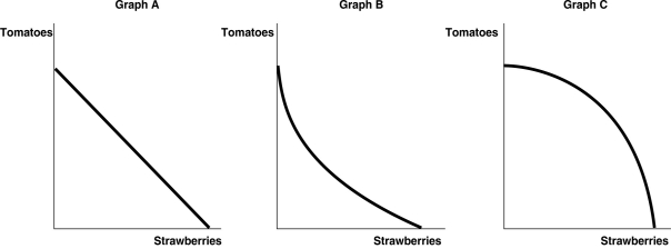 Figure 2-3 -Refer to Figure 2-3.Carlos Vanya grows tomatoes and strawberries on his land.His land is equally suited for growing either fruit.Which of the graphs in Figure 2-3 represents his production possibilities frontier?