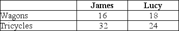 Table 2-6 Table 2-6 shows the output per week of two people,James and Lucy.They can either devote their time to making wagons or making tricycles. -Refer to Table 2-6.Which of the following statements is true?