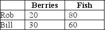Table 7-1    Rob Crusoe and Bill Friday spent their week-long vacation on a desert island where they had to find and prepare their own food.Rob and Bill spent one day each fishing and picking berries.The table lists the pounds of output Rob and Bill produced. -Refer to Table 7-1.Use the table above to select the statement that accurately interprets the data in the table.