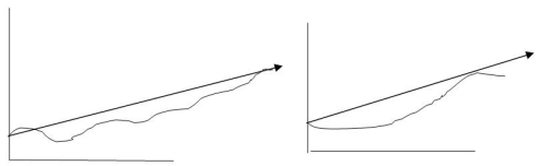 <strong>The following graphs indicate which type of cost behaviour? </strong> A) Curvilinear B) Fixed C) Step D) Variable