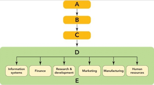Figure 2-1 -In Figure 2-1 above,E represents the ________ that make up the functional level of an organization.