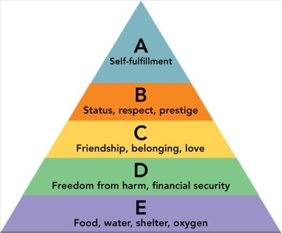 Figure 5-6 -According to Figure 5-6 above,A defines what level in the Maslow hierarchy of needs?