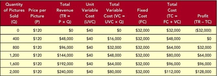 Figure 13-5 -The owner of a picture frame store has generated a spreadsheet of several calculations based on different quantity,price,revenue,cost,and profit scenarios shown in Figure 13-5 above.Of the following options,at what sales level is profit maximized?