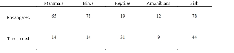 <strong>The tables below give the numbers of some species of threatened and endangered wildlife in the United States and in foreign countries in 2003. Find a matrix with the total number of these species. Assume that U.S. and foreign species are different. United States Foreign </strong> A) B) C) D) E)