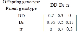 For species that reproduce sexually, characteristics are determined by a gene from each parent. Suppose that for a certain trait there are two possible genes available from each parent: a dominant gene D and a recessive gene r. Then the different gene combinations (called genotypes) for the offspring are DD, Dr, rD, and rr, where Dr and rD produce the same trait. Suppose further that these genotypes are the states of a Markov chain with the transition matrix given below. If the initial occurrence of those genotypes in the population is 0.1 for DD, 0.2 for Dr, and 0.7 for rr, find the distribution (probability) of each type of the second generation of offspring. Round all numerical values in your answer to two decimal places. 