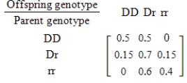 For species that reproduce sexually, characteristics are determined by a gene from each parent. Suppose that for a certain trait there are two possible genes available from each parent: a dominant gene D and a recessive gene r. Then the different gene combinations (called genotypes) for the offspring are DD, Dr, rD, and rr, where Dr and rD produce the same trait. Suppose further that these genotypes are the states of a Markov chain with the transition matrix given below. Find the steady-state vector for this genotype. Round all numerical values in your answer to two decimal places. 